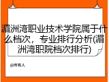 湄洲湾职业技术学院属于什么档次，专业排行分析(湄洲湾职院档次排行)