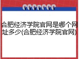 合肥经济学院官网是哪个网址多少(合肥经济学院官网)