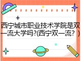 西宁城市职业技术学院是双一流大学吗?(西宁双一流？)