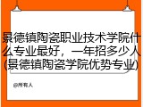景德镇陶瓷职业技术学院什么专业最好，一年招多少人(景德镇陶瓷学院优势专业)