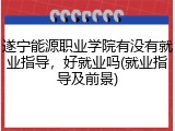 遂宁能源职业学院有没有就业指导，好就业吗(就业指导及前景)