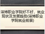 淄博职业学院好不好，就业现状及发展趋势(淄博职业学院就业前景)