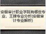 安徽审计职业学院有哪些专业，王牌专业分析(安徽审计专业解析)