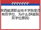 陕西能源职业技术学院是否有双学位，为什么(陕能院双学位原因)