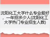 沈阳化工大学什么专业最好，一年招多少人(沈阳化工大学热门专业招生人数)