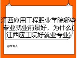 江西应用工程职业学院哪些专业就业前景好，为什么(江西应工院好就业专业)