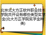 北京北大方正软件职业技术学院共开设有哪些类型奖学金(北大方正学院奖学金种类)