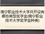 南宁职业技术大学共开设有哪些类型奖学金(南宁职业技术大学奖学金种类)