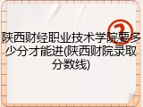 陕西财经职业技术学院要多少分才能进(陕西财院录取分数线)