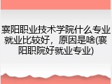 襄阳职业技术学院什么专业就业比较好，原因是啥(襄阳职院好就业专业)