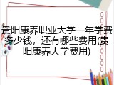 贵阳康养职业大学一年学费多少钱，还有哪些费用(贵阳康养大学费用)