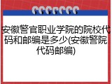 安徽警官职业学院的院校代码和邮编是多少(安徽警院代码邮编)