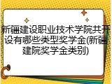 新疆建设职业技术学院共开设有哪些类型奖学金(新疆建院奖学金类别)