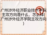广州涉外经济职业技术学院主攻方向是什么，怎么样(广州涉外经济学院主攻方向)