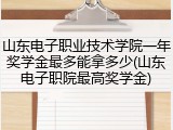 山东电子职业技术学院一年奖学金最多能拿多少(山东电子职院最高奖学金)
