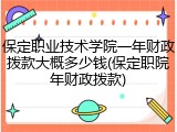 保定职业技术学院一年财政拨款大概多少钱(保定职院年财政拨款)
