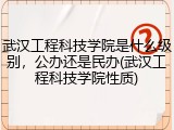 武汉工程科技学院是什么级别，公办还是民办(武汉工程科技学院性质)