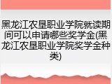 黑龙江农垦职业学院就读期间可以申请哪些奖学金(黑龙江农垦职业学院奖学金种类)