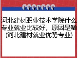 河北建材职业技术学院什么专业就业比较好，原因是啥(河北建材就业优势专业)