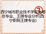 西宁城市职业技术学院有哪些专业，王牌专业分析(西宁职院王牌专业)