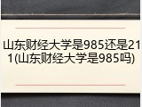 山东财经大学是985还是211(山东财经大学是985吗)