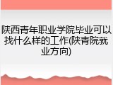 陕西青年职业学院毕业可以找什么样的工作(陕青院就业方向)