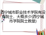 西宁城市职业技术学院有没有院士，大概多少(西宁城市学院院士数量)