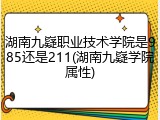 湖南九嶷职业技术学院是985还是211(湖南九嶷学院属性)
