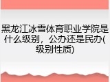 黑龙江冰雪体育职业学院是什么级别，公办还是民办(级别性质)