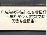 广东东软学院什么专业最好，一年招多少人(东软学院优势专业招生)