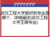 武汉工程大学最好的专业是哪个，详细阐述(武汉工程大学王牌专业)