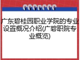 广东碧桂园职业学院的专业设置概况介绍(广碧职院专业概览)