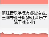 浙江音乐学院有哪些专业，王牌专业分析(浙江音乐学院王牌专业)