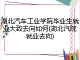 湖北汽车工业学院毕业生就业大致去向如何(湖北汽院就业去向)