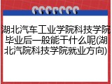 湖北汽车工业学院科技学院毕业后一般能干什么呢(湖北汽院科技学院就业方向)