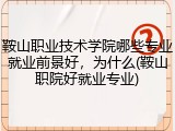 鞍山职业技术学院哪些专业就业前景好，为什么(鞍山职院好就业专业)