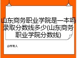 山东商务职业学院是一本吗录取分数线多少(山东商务职业学院分数线)