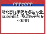 湖北恩施学院有哪些专业，就业前景如何(恩施学院专业就业)
