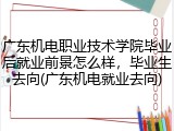 广东机电职业技术学院毕业后就业前景怎么样，毕业生去向(广东机电就业去向)