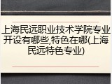 上海民远职业技术学院专业开设有哪些,特色在哪(上海民远特色专业)