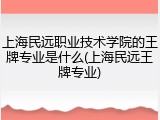 上海民远职业技术学院的王牌专业是什么(上海民远王牌专业)