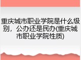重庆城市职业学院是什么级别，公办还是民办(重庆城市职业学院性质)