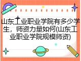 山东工业职业学院有多少学生，师资力量如何(山东工业职业学院规模师资)