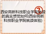西安高新科技职业学院就读的真实感觉如何(西安高新科技职业学院就读体验)