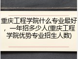 重庆工程学院什么专业最好，一年招多少人(重庆工程学院优势专业招生人数)