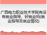 广西电力职业技术学院有没有就业指导，好就业吗(就业指导及就业情况)