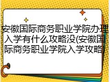 安徽国际商务职业学院办理入学有什么攻略没(安徽国际商务职业学院入学攻略)