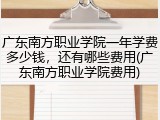 广东南方职业学院一年学费多少钱，还有哪些费用(广东南方职业学院费用)