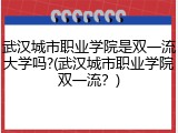 武汉城市职业学院是双一流大学吗?(武汉城市职业学院双一流？)