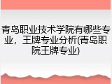 青岛职业技术学院有哪些专业，王牌专业分析(青岛职院王牌专业)